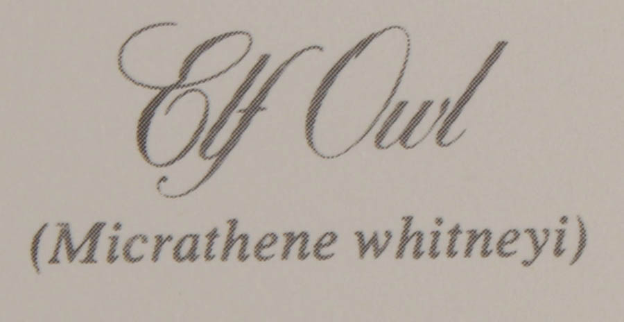 Quintet of Signed Ray Harm Prints