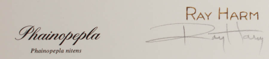 Quintet of Signed Ray Harm Prints