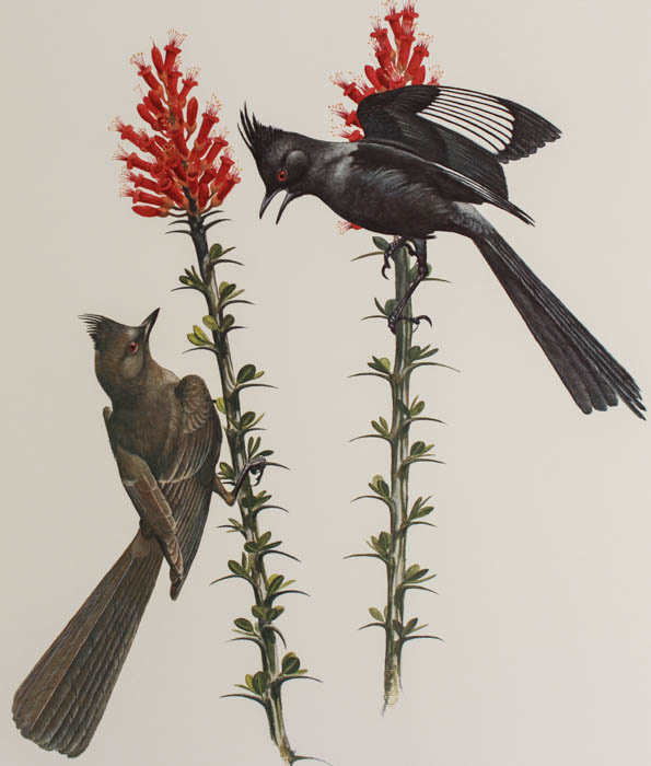 Quintet of Signed Ray Harm Prints