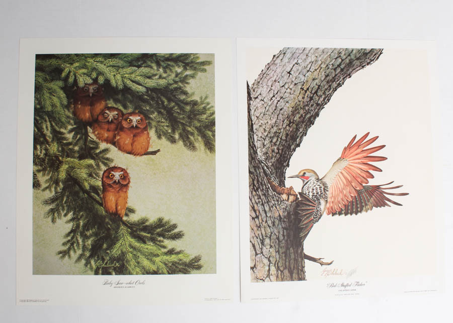 Pair of Guy Coheleach Wildlife Prints