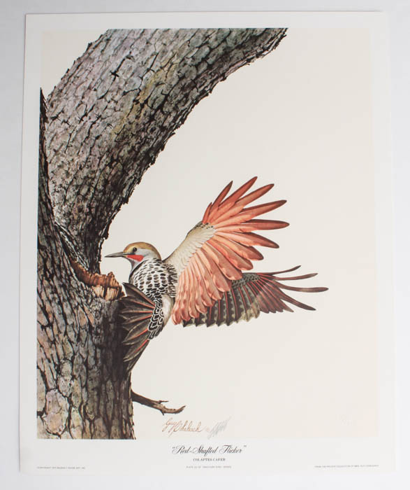 Pair of Guy Coheleach Wildlife Prints