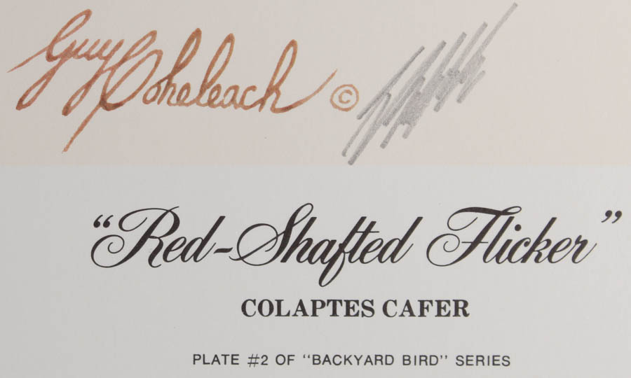 Pair of Guy Coheleach Wildlife Prints