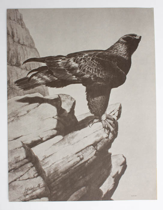 Pair of Guy Coheleach Wildlife Prints