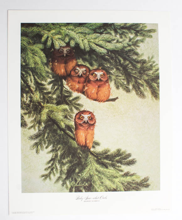 Pair of Guy Coheleach Wildlife Prints