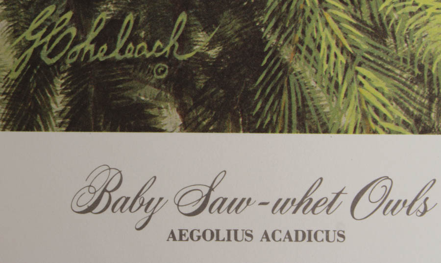 Pair of Guy Coheleach Wildlife Prints