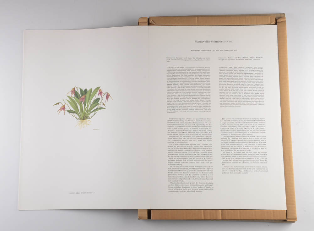 1992 A Monograph of the Genus Masdevall