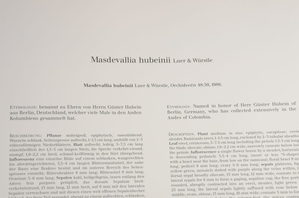 1992 A Monograph of the Genus Masdevall