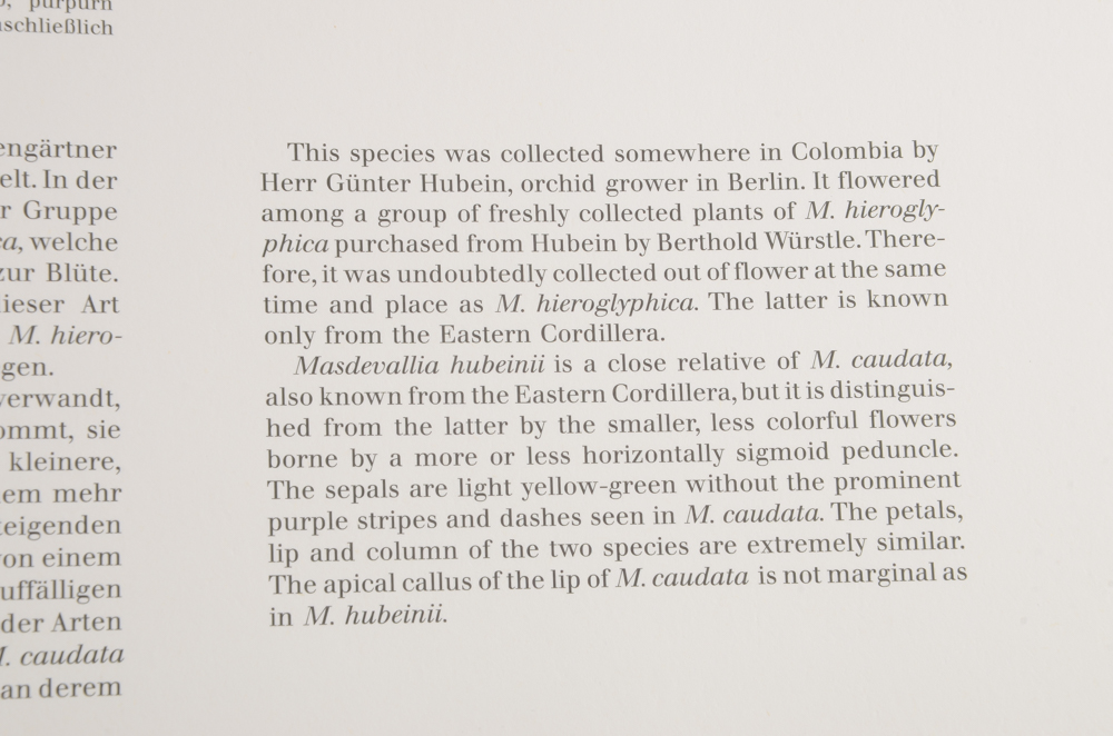 1992 A Monograph of the Genus Masdevall