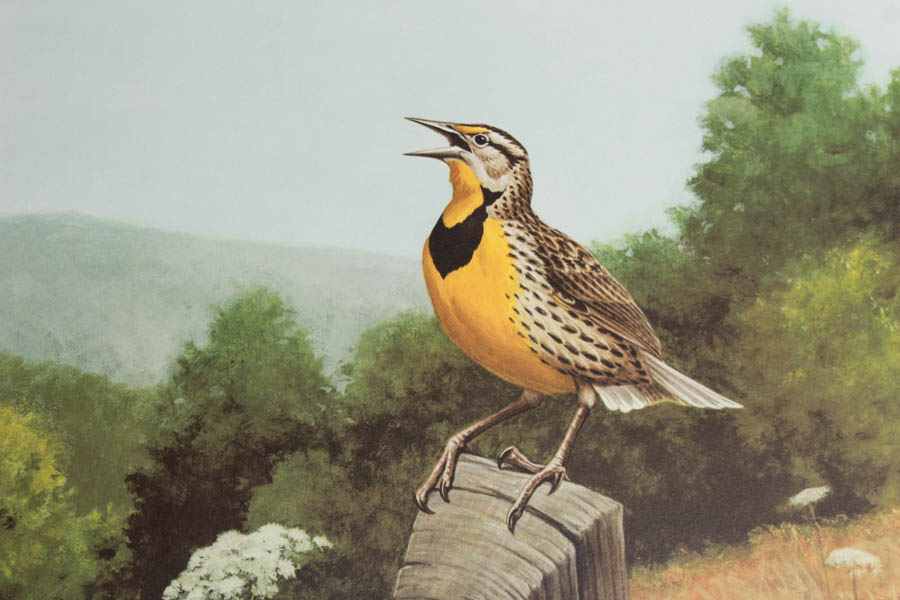 Signed Don Richard Eckelberry "Meadowlark" Print