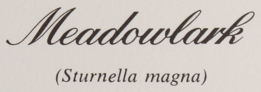 Signed Don Richard Eckelberry "Meadowlark" Print