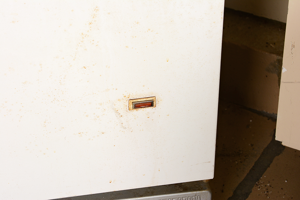 Sears Coldspot Upright Freezer