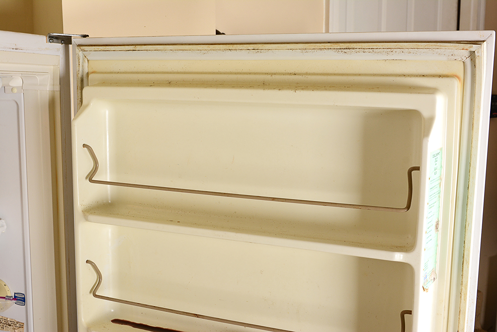 Sears Coldspot Upright Freezer