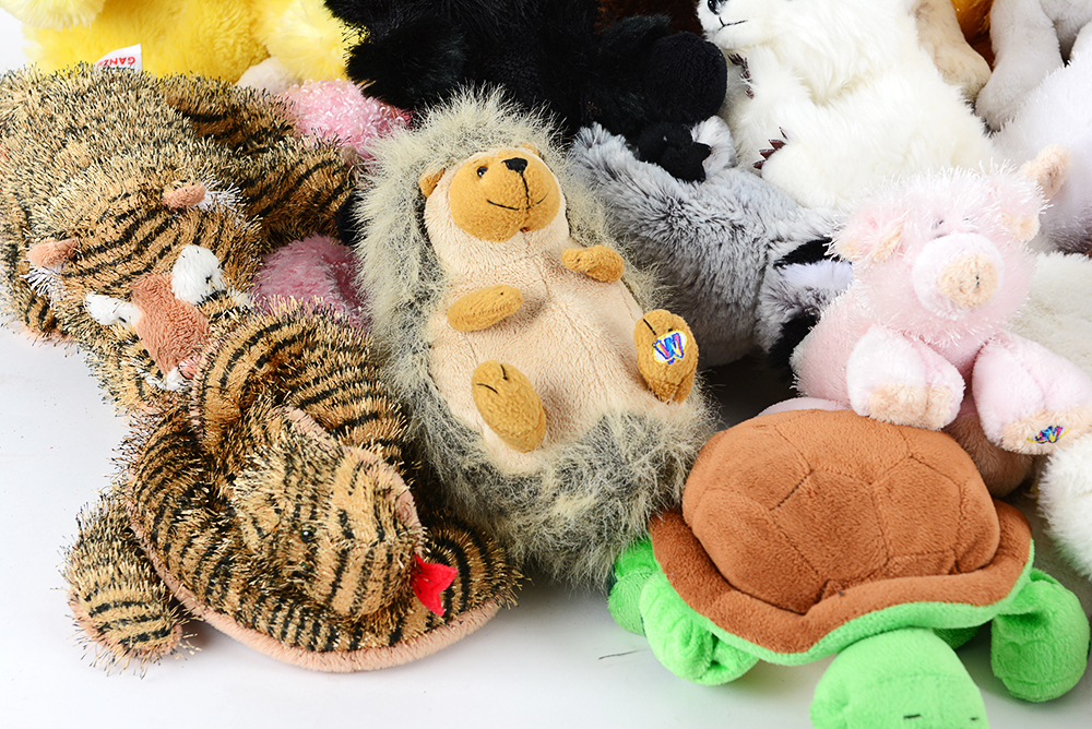 Assorted Webkinz and Other Plush Animals