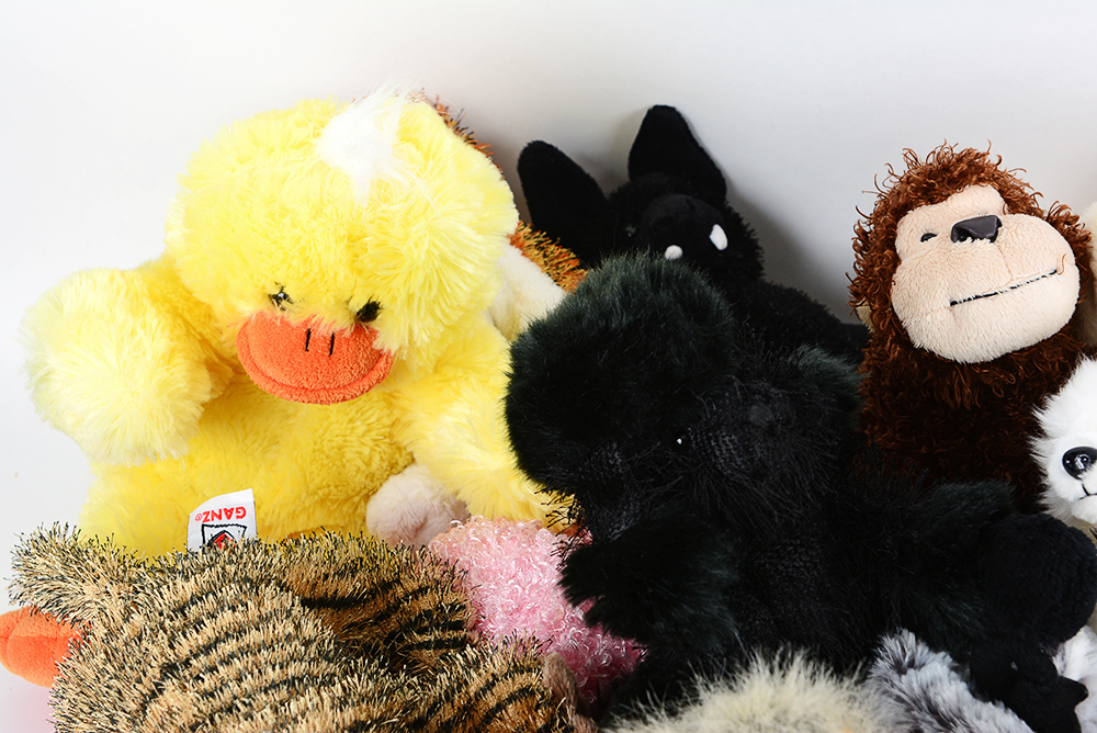 Assorted Webkinz and Other Plush Animals