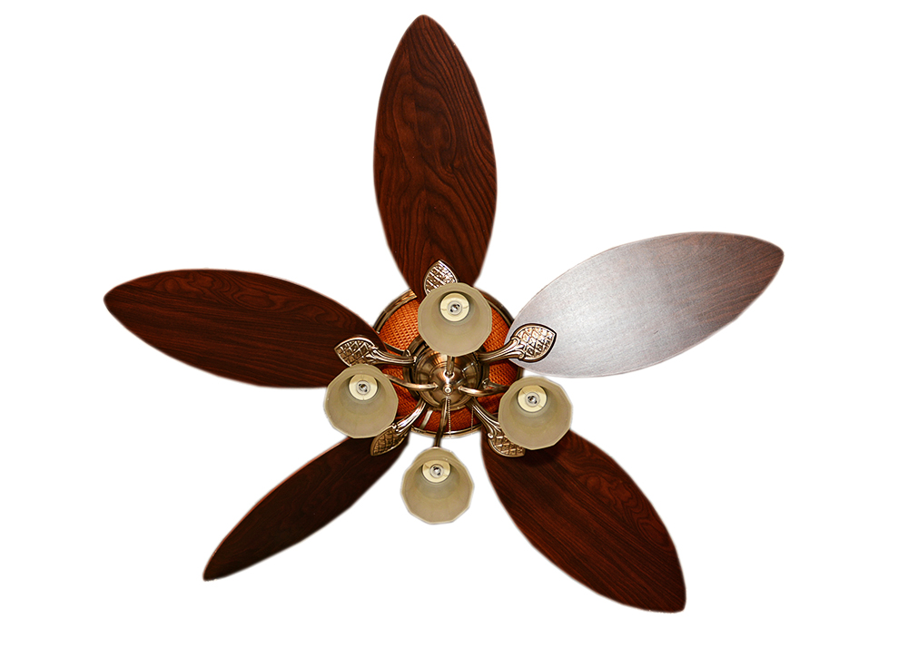 Ceiling Fan