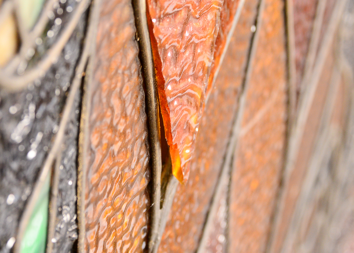 Large 11.2' Antique Art Nouveau Stained Glass Window