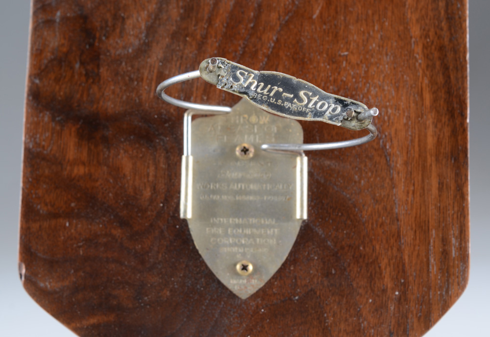 Shur-Stop Fire Extinguisher Grenade