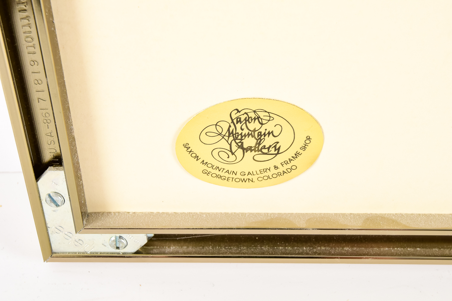 Skiing Lithograph by Bill Alexander