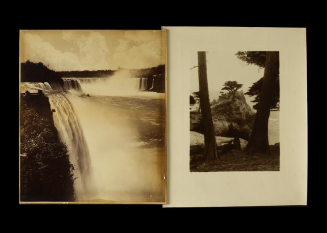 Pair of Vintage Nature Photographs