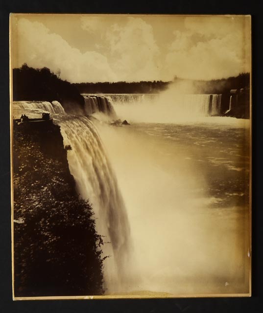 Pair of Vintage Nature Photographs