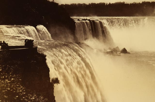 Pair of Vintage Nature Photographs
