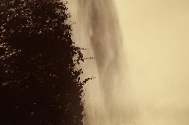 Pair of Vintage Nature Photographs