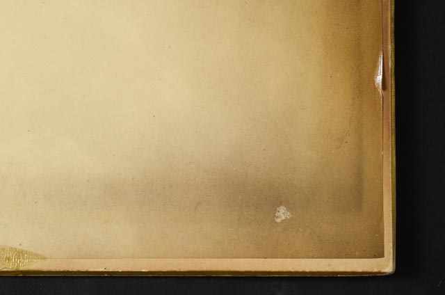 Pair of Vintage Nature Photographs