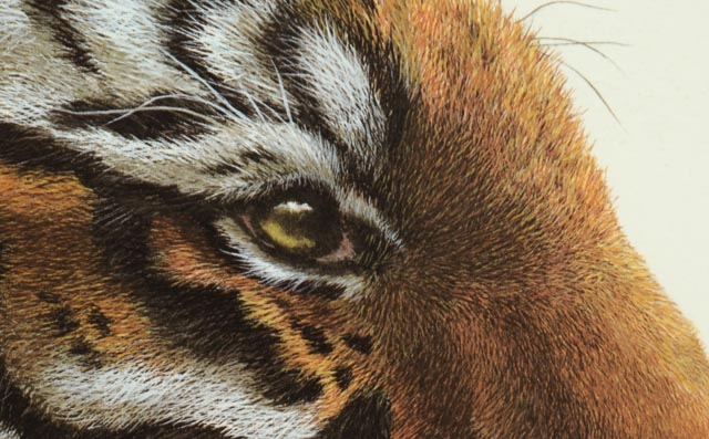 Imogene  Farnsworth Artist Proof Offset Lithograph "Tiger"