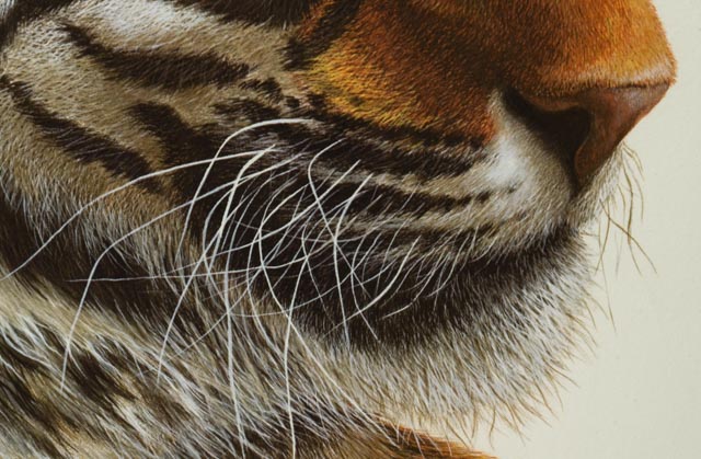 Imogene  Farnsworth Artist Proof Offset Lithograph "Tiger"