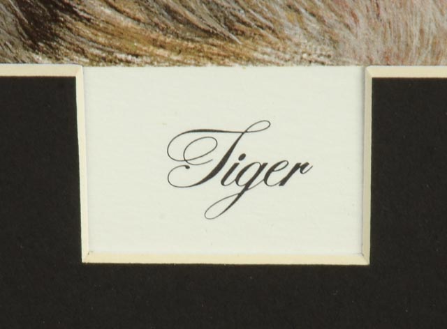 Imogene  Farnsworth Artist Proof Offset Lithograph "Tiger"
