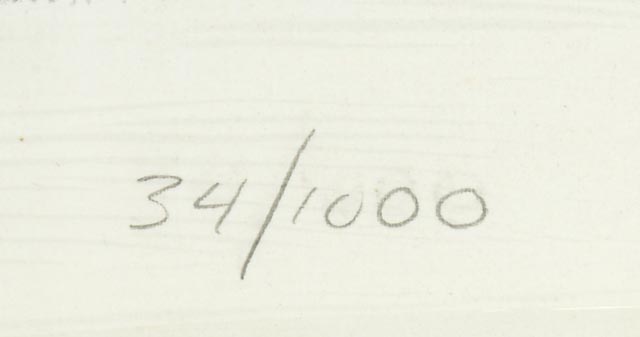 Pittsburgh Steelers Artist Signed Illustrations