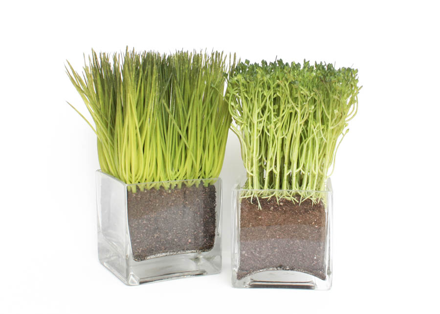 Pair of Decorative Artificial Plants