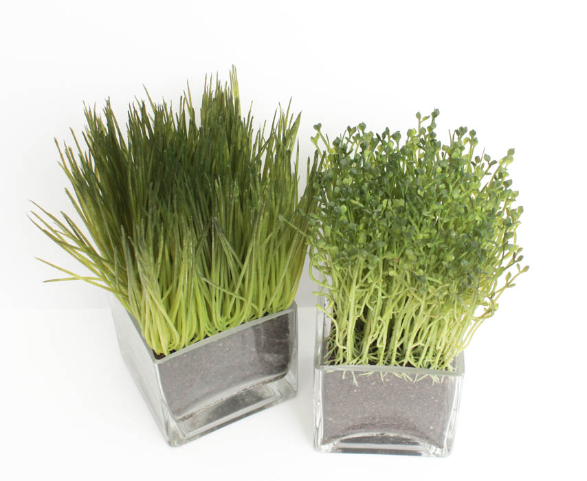 Pair of Decorative Artificial Plants