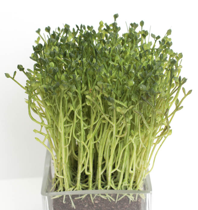 Pair of Decorative Artificial Plants