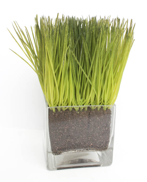 Pair of Decorative Artificial Plants