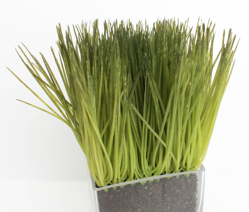 Pair of Decorative Artificial Plants