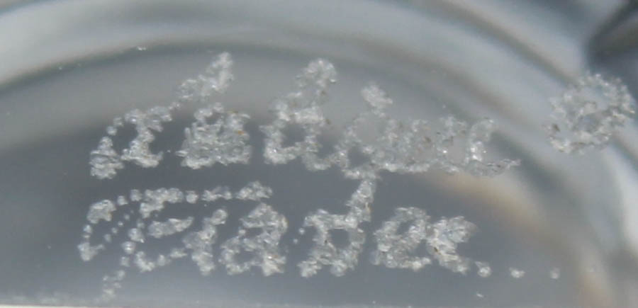 Lalique France Crystal Frosted Bird Dish