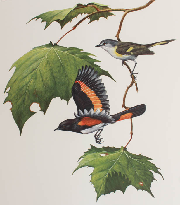 Group of Five Ray Harm Prints