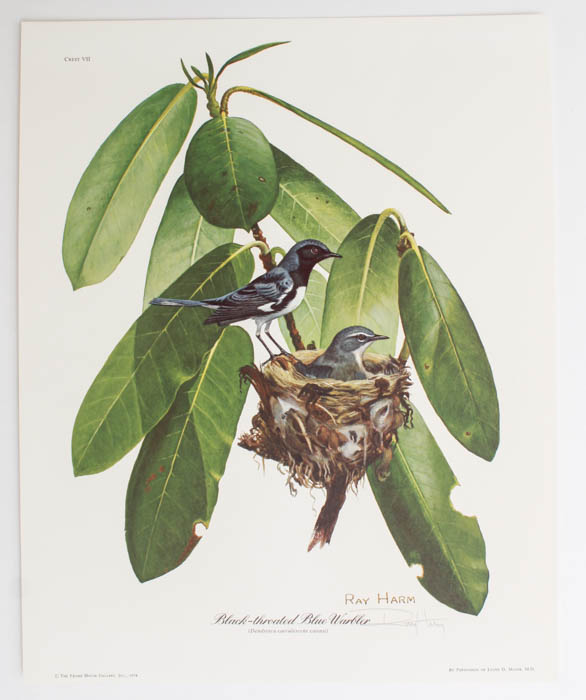 Group of Five Ray Harm Prints