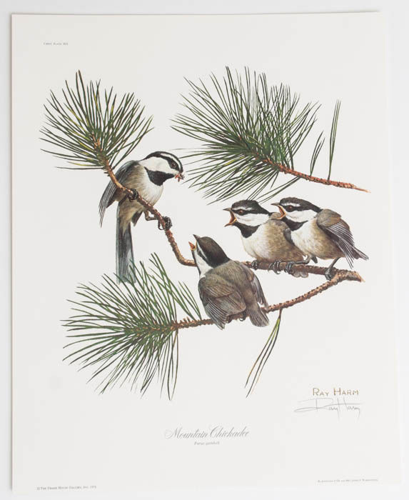 Group of Five Ray Harm Prints