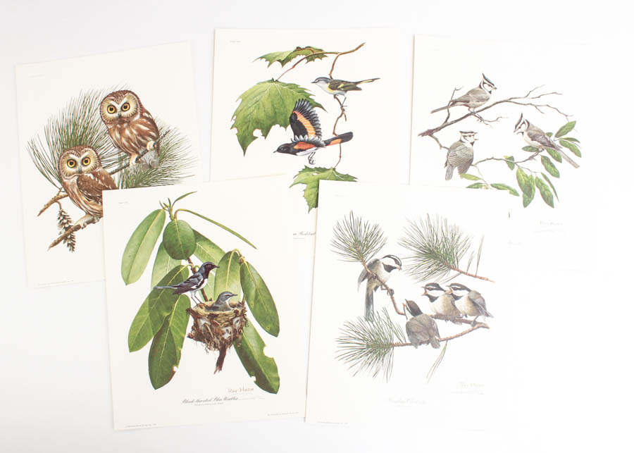 Group of Five Ray Harm Prints