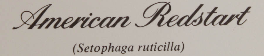 Group of Five Ray Harm Prints