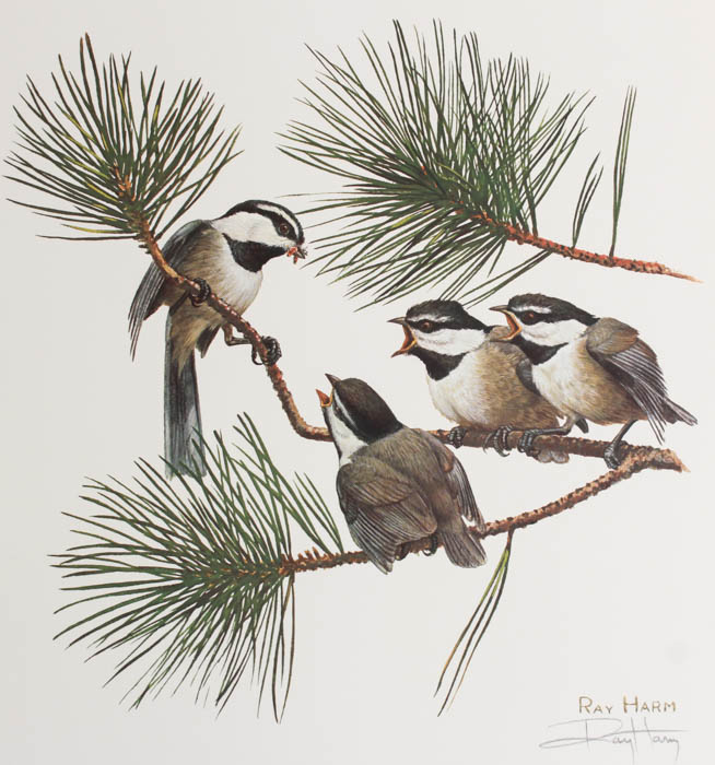 Group of Five Ray Harm Prints