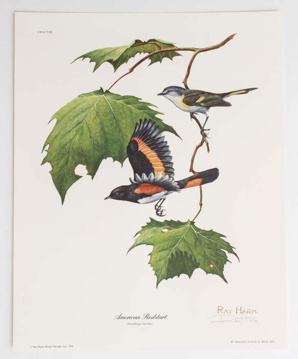 Group of Five Ray Harm Prints