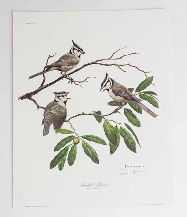 Group of Five Ray Harm Prints