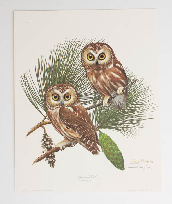 Group of Five Ray Harm Prints