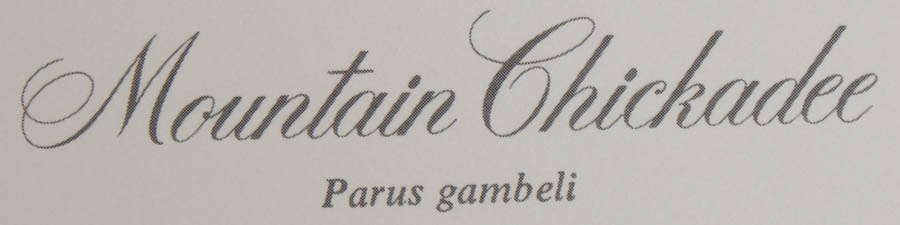 Group of Five Ray Harm Prints