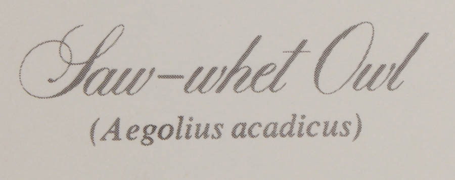 Group of Five Ray Harm Prints