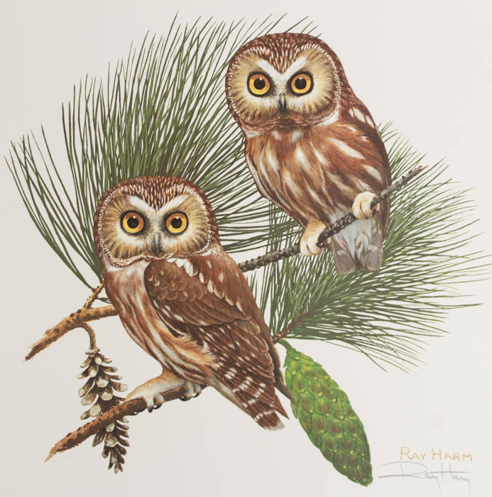 Group of Five Ray Harm Prints