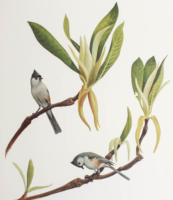 Five Signed Ray Harm Prints